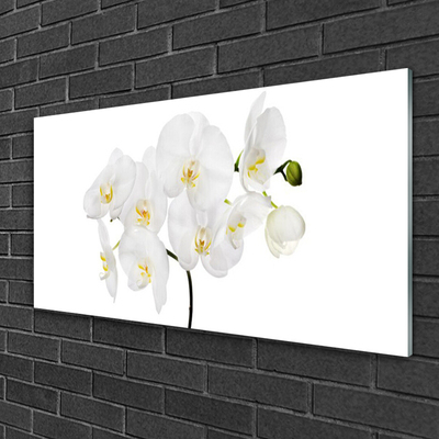 Quadro de vidro Flores de orquídea branca