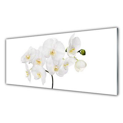 Quadro de vidro Flores de orquídea branca