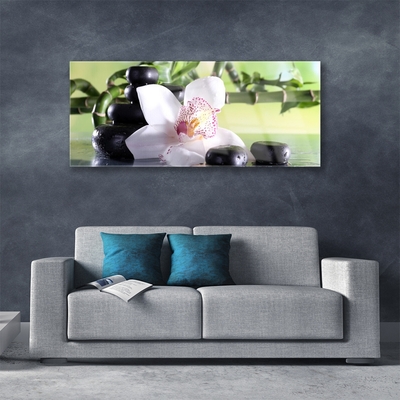 Pintura em vidro Pedras de orquídea Bambu