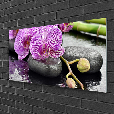 Quadro de vidro Orquídea Zen Orquídea Spa