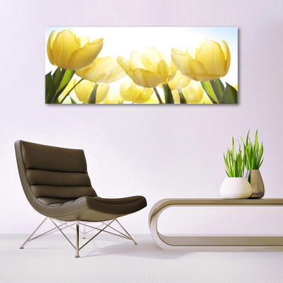 Quadro de vidro Tulipas Flores Raios