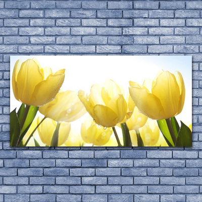 Quadro de vidro Tulipas Flores Raios