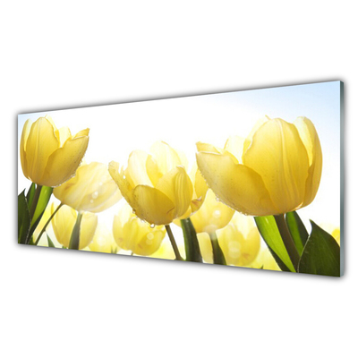 Quadro de vidro Tulipas Flores Raios