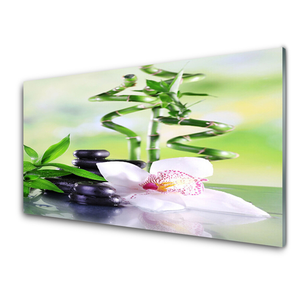 Quadro de vidro Orquídea Bambu Zen Spa