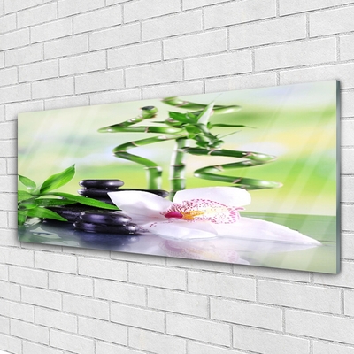 Quadro de vidro Orquídea Bambu Zen Spa