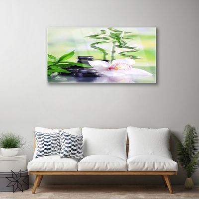 Quadro de vidro Orquídea Bambu Zen Spa
