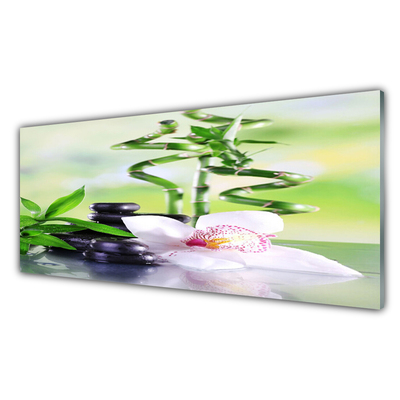 Quadro de vidro Orquídea Bambu Zen Spa