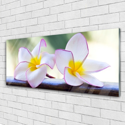 Pintura em vidro Flores Pétalas de Plumeria