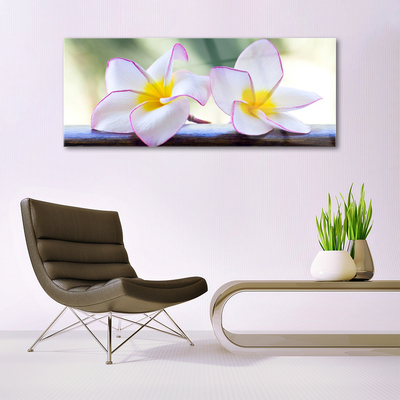 Pintura em vidro Flores Pétalas de Plumeria