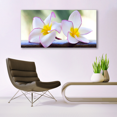 Pintura em vidro Flores Pétalas de Plumeria