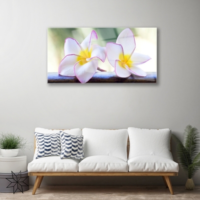 Pintura em vidro Flores Pétalas de Plumeria
