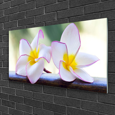 Pintura em vidro Flores Pétalas de Plumeria