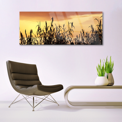 Quadro de vidro Folhas Sunset Meadow Field