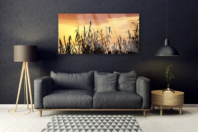 Quadro de vidro Folhas Sunset Meadow Field