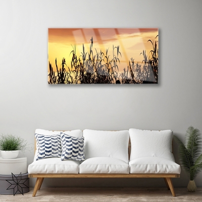Quadro de vidro Folhas Sunset Meadow Field