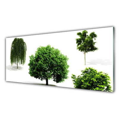 Quadro de vidro Árvores Natureza Vida Selvagem