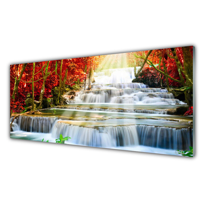Quadro de vidro Cachoeira Natureza Floresta