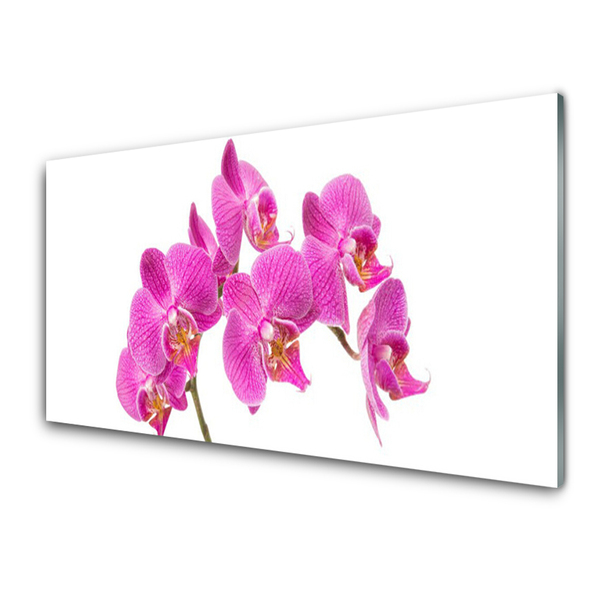 Pintura em vidro Flores de orquídeas Natureza