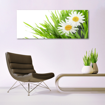 Quadro de vidro Margarida Flor Natureza