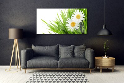 Quadro de vidro Margarida Flor Natureza