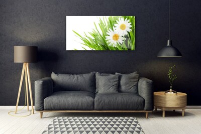 Quadro de vidro Margarida Flor Natureza