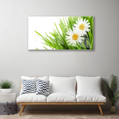 Quadro de vidro Margarida Flor Natureza