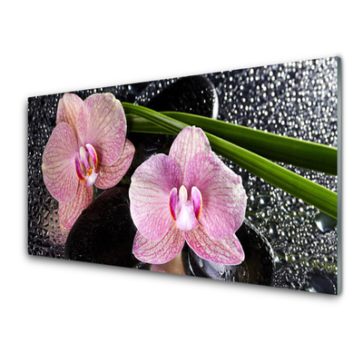 Pintura em vidro Flores Orquídea Orquídea Zen