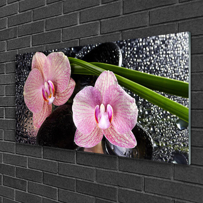 Pintura em vidro Flores Orquídea Orquídea Zen