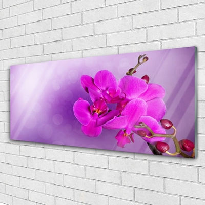 Quadro de vidro Flores Pétalas Orquídea