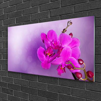 Quadro de vidro Flores Pétalas Orquídea