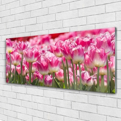Quadro de vidro Tulipas Flores Natureza