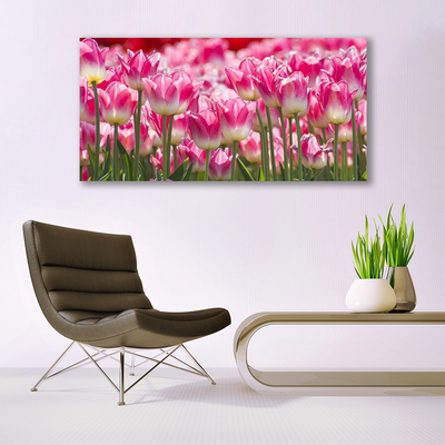 Quadro de vidro Tulipas Flores Natureza