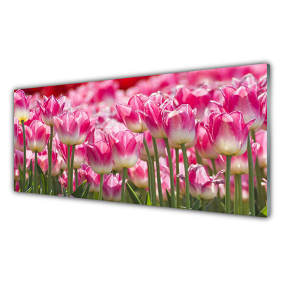 Quadro de vidro Tulipas Flores Natureza