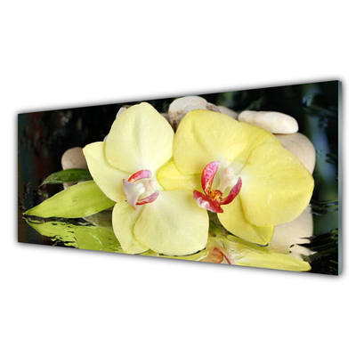 Quadro de vidro Pétalas de flores de orquídea