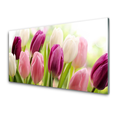 Pintura em vidro Tulipas Flores Natureza Prado