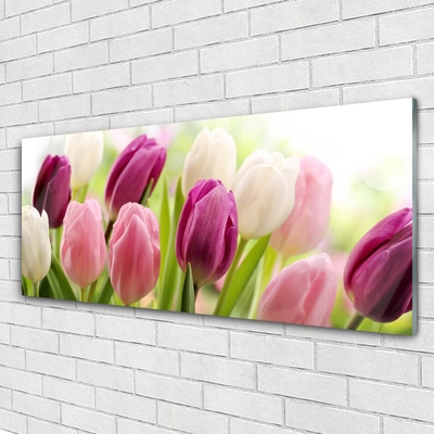Pintura em vidro Tulipas Flores Natureza Prado