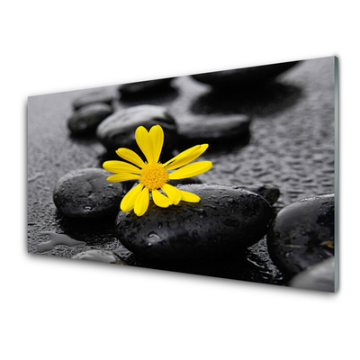Quadro de vidro Spa Flor Amarela Natureza