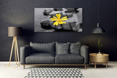 Quadro de vidro Spa Flor Amarela Natureza