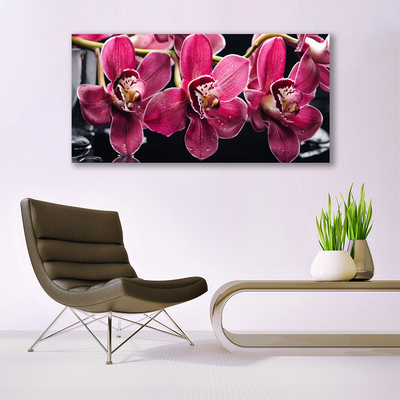 Quadro de vidro Flores Brotos de Orquídeas Natureza