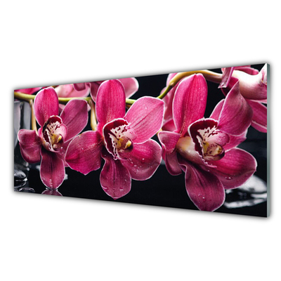 Quadro de vidro Flores Brotos de Orquídeas Natureza