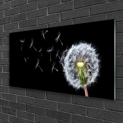 Quadro de vidro Flores de dente-de-leão Natureza