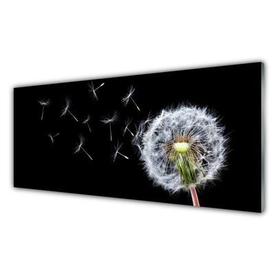 Quadro de vidro Flores de dente-de-leão Natureza