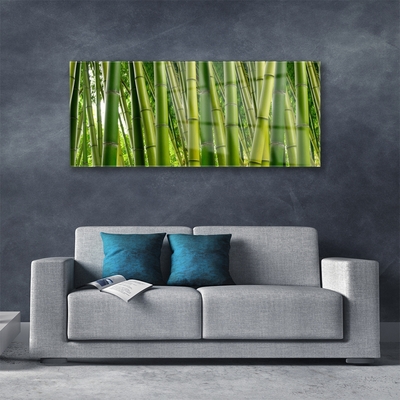 Quadro de vidro Brotos de bambu da floresta de bambu