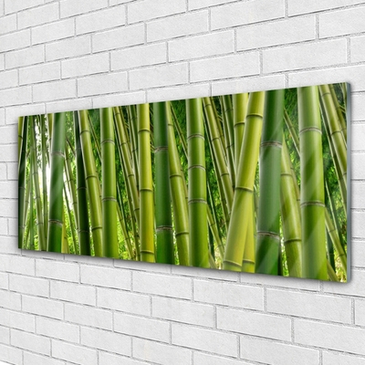 Quadro de vidro Brotos de bambu da floresta de bambu