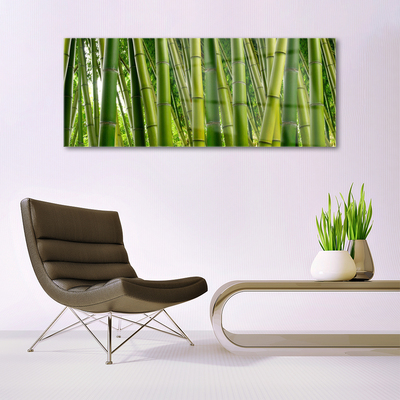 Quadro de vidro Brotos de bambu da floresta de bambu