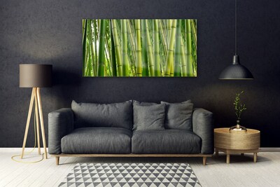 Quadro de vidro Brotos de bambu da floresta de bambu