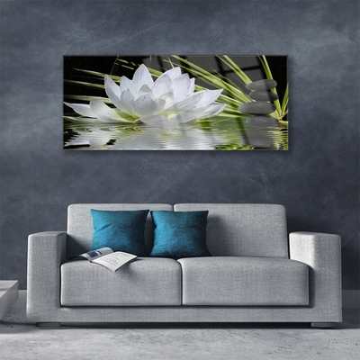 Quadro de vidro Flores de nenúfar