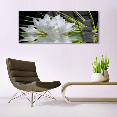 Quadro de vidro Flores de nenúfar