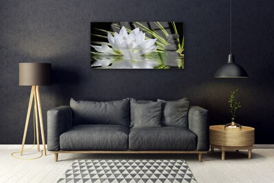 Quadro de vidro Flores de nenúfar
