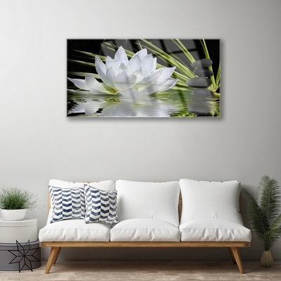 Quadro de vidro Flores de nenúfar